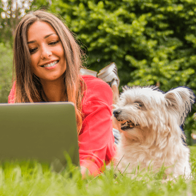 eao ecole aquitaine osteopathie formations stages osteopathe bordeaux gironde nouvelle aquitaine formation osteopathie animale ihover bac c - Ostéopathie animale - ostéopathes animaliers - Ostéopathie animale - ostéopathes animaliers - Ostéopathie animale - ostéopathes animaliers