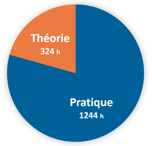 eao ecole aquitaine osteopathie formations stages osteopathe bordeaux gironde nouvelle aquitaine formation osteopathie aniamale do graphe 300x287 - Ostéopathie animale - ostéopathes DO - Ostéopathie animale - ostéopathes DO - Ostéopathie animale - ostéopathes DO