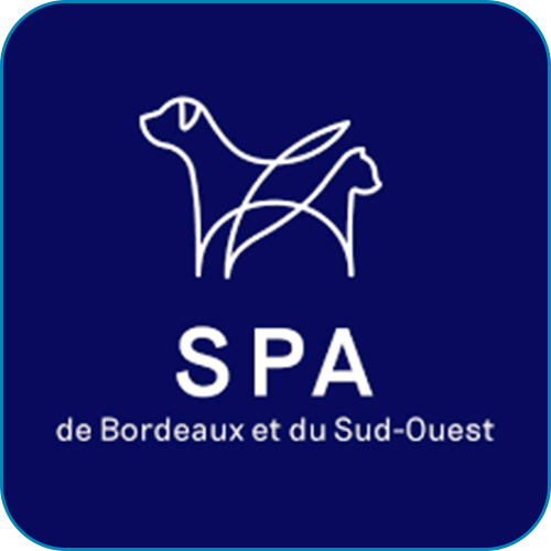 eao ecole aquitaine osteopathie formations stages osteopathe bordeaux gironde nouvelle aquitaine partenaires spa bordeaux sud ouest - v2-Accueil Ecole Aquitaine Ostéopathie (formation stage ostéopathe Bordeaux Gironde Nouvelle Aquitaine) - v2-Accueil Ecole Aquitaine Ostéopathie (formation stage ostéopathe Bordeaux Gironde Nouvelle Aquitaine) - v2-Accueil Ecole Aquitaine Ostéopathie (formation stage ostéopathe Bordeaux Gironde Nouvelle Aquitaine)