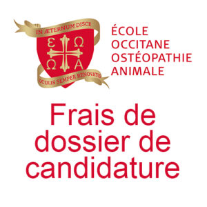 paiement en ligne frais de dossier de candidature 300x300 - paiement-en-ligne-frais-de-dossier-de-candidature - paiement-en-ligne-frais-de-dossier-de-candidature - paiement-en-ligne-frais-de-dossier-de-candidature