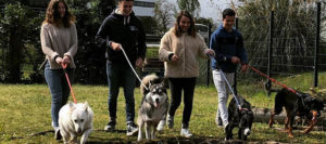 en tetes Candidature en ligne ETAPE 2 A 300x133 - en-tetes-Candidature-en-ligne-ETAPE-2-A - en-tetes-Candidature-en-ligne-ETAPE-2-A - en-tetes-Candidature-en-ligne-ETAPE-2-A