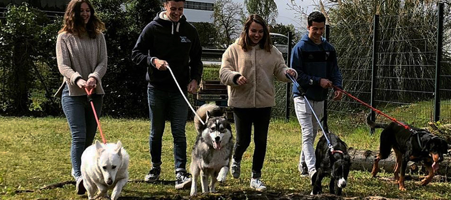 en tetes Candidature en ligne ETAPE 2 A - Dossier de candidature en ligne - Etape 2 sur 3 - Dossier de candidature en ligne - Etape 2 sur 3 - Dossier de candidature en ligne - Etape 2 sur 3